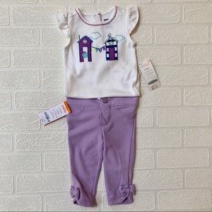 NWT Springtime Birdhouse Set